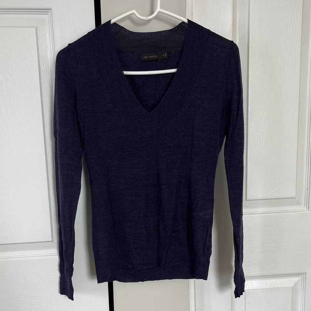 The Limited Women's V-Neck Sweater in Rich Purple